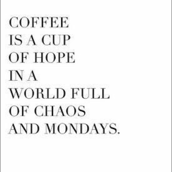 Meet The Posher - Picture 4 of 12